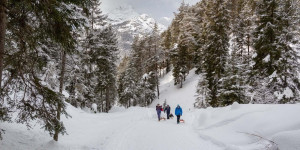 Beitragsbild des Blogbeitrags Rodelbahn Hoher Sattel in der Leutasch