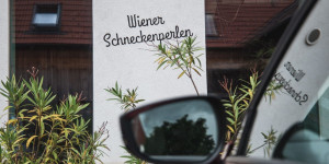 Beitragsbild des Blogbeitrags Yoga & Schnecken: Auf Tour durch Wien mit dem Mazda MX30