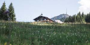 Beitragsbild des Blogbeitrags Ausflugstipp: Drei-Gänge-Menü auf der Angerer Alm