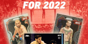 Beitragsbild des Blogbeitrags 3 UFC Fighters To Invest In For 2022