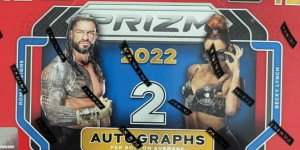Beitragsbild des Blogbeitrags WWE Prizm: Unravelling The Value Ecosystem in Panini Products