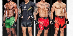 Beitragsbild des Blogbeitrags 2022 Panini Chronicles UFC MMA Cards
