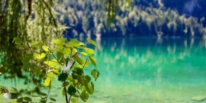 Beitragsbild des Blogbeitrags Day trip – Hintersteiner See in den Kitzbühler Alpen 