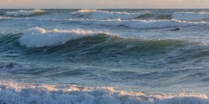 Beitragsbild des Blogbeitrags Beachlife und Surfen in Messanges, Frankreich