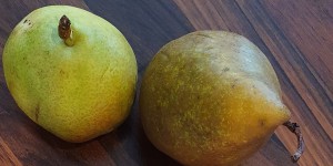 Beitragsbild des Blogbeitrags So wirst du zur Zero-Waste-Familie