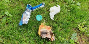 Beitragsbild des Blogbeitrags World Cleanup Day 19.09.2020
