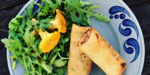 Beitragsbild des Blogbeitrags Frühlingsrollen mit Eierschwammerl