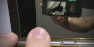 Beitragsbild des Blogbeitrags Reflexionen über zwei ungleiche Geschwister (STEEMIT)