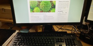 Beitragsbild des Blogbeitrags Blog Reaktivierung, 2020 Edition