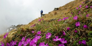 Beitragsbild des Blogbeitrags 3.6.2017, Weißseespitze, 3505m (laut GPS) & old habits…