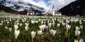 Beitragsbild des Blogbeitrags 28.04.2018 | Skitour Weißkugel, 3739m | Sepp & Moidl zu Besuch im Langtauferer Hof