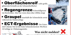 Beitragsbild des Blogbeitrags Gewusst wie: Rückmeldungen an die Lawinenwarndienste
