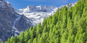 Beitragsbild des Blogbeitrags Letzte Fotos Herbst 2022