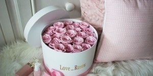 Beitragsbild des Blogbeitrags Love Roses