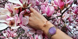 Beitragsbild des Blogbeitrags Spring Vibes