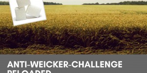 Beitragsbild des Blogbeitrags Anti-Weicker-Challenge reloaded: Der Zucker- und Weizenverzicht geht weiter