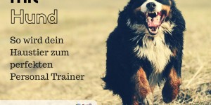 Beitragsbild des Blogbeitrags Sport mit Hund: So wird dein Haustier zum perfekten Personal Trainer 
