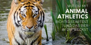 Beitragsbild des Blogbeitrags Wie du mit Animal Athletics richtig startest und das Tier in dir weckst