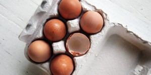 Beitragsbild des Blogbeitrags Proteine nach dem Training