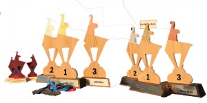 Beitragsbild des Blogbeitrags Das bekommen die Sieger bei der Triathlon-EM in Kitzbühel