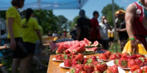 Beitragsbild des Blogbeitrags Die besten Bilder des Tulln Triathlon 2019