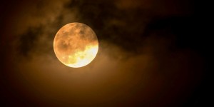 Beitragsbild des Blogbeitrags Schwimmen bei Vollmond: Vollmondschwimmen in Wien