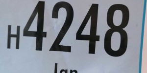 Beitragsbild des Blogbeitrags Elke Schiebl bloggt: Unehrlich währt…….
