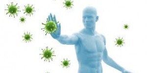 Beitragsbild des Blogbeitrags So stärkst du dein Immunsystem 