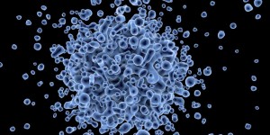 Beitragsbild des Blogbeitrags 5 Tipps für ein starkes Immunsystem 