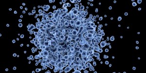 Beitragsbild des Blogbeitrags 5 Tipps für ein starkes Immunsystem