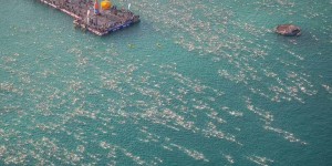 Beitragsbild des Blogbeitrags Mindestabstandregeln sollen fallen: Weg frei für Massenstarts?