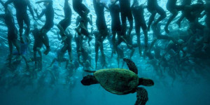 Beitragsbild des Blogbeitrags IRONMAN World Championship auf 5. Februar verschoben