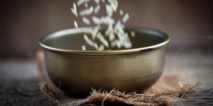 Beitragsbild des Blogbeitrags #9 Hunger in Entwicklungsländern sinkt um 29 %
