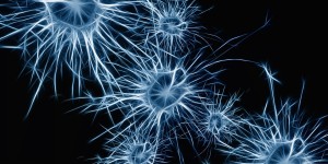 Beitragsbild des Blogbeitrags #45 Fortschritte mit Ultraschall in der Alzheimer-Forschung