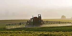 Beitragsbild des Blogbeitrags #100 Studie: Gleichbleibende Nahrungsmittel-Produktion in Frankreich trotz Pestizid-Reduktion möglich 