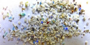 Beitragsbild des Blogbeitrags #107 Regierung Neuseelands legt Gesetzesvorschlag für Verbot von Mikroplastik vor