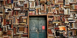 Beitragsbild des Blogbeitrags #165 Eine Bibliothek mit Büchern aus dem Müll