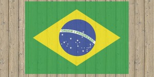 Beitragsbild des Blogbeitrags #187 Zika-Virus: Brasilien hebt Notstand auf 