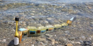 Beitragsbild des Blogbeitrags #242 Der schadstoffsuchende Roboter-Aal