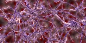 Beitragsbild des Blogbeitrags #244 Nachgezüchtete Nervenzellen lindern bei ersten Tests Parkinson-Symptome 