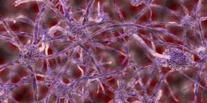 Beitragsbild des Blogbeitrags #244 Nachgezüchtete Nervenzellen lindern bei ersten Tests Parkinson-Symptome
