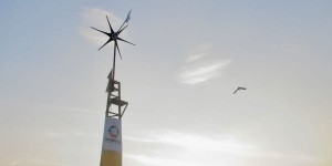 Beitragsbild des Blogbeitrags #334 Neuartige Windturbine soll Indien weiter elektrifizieren 