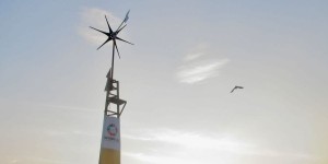 Beitragsbild des Blogbeitrags #334 Neuartige Windturbine soll Indien weiter elektrifizieren