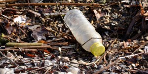 Beitragsbild des Blogbeitrags #351 Flaschen: Alternativen zum Plastik 