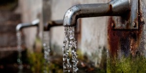Beitragsbild des Blogbeitrags #361 Dracontiasis fast völlig ausgerottet