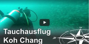 Beitragsbild des Blogbeitrags Koh Chang: Tauchen im Koh Rang Nationalpark (Video)