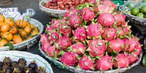 Beitragsbild des Blogbeitrags Die Drachenfrucht: Pinke Schönheit mit Geheimnissen 