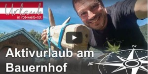 Beitragsbild des Blogbeitrags Aktivurlaub am Bauernhof in Salzburg (Video)