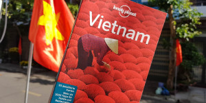 Beitragsbild des Blogbeitrags Meine Erfahrungen mit dem Lonely Planet Vietnam Reiseführer