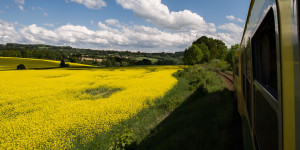 Beitragsbild des Blogbeitrags Spektakel am Zugfenster: Goldgelbe Frühlingslandschaft in Südböhmen 